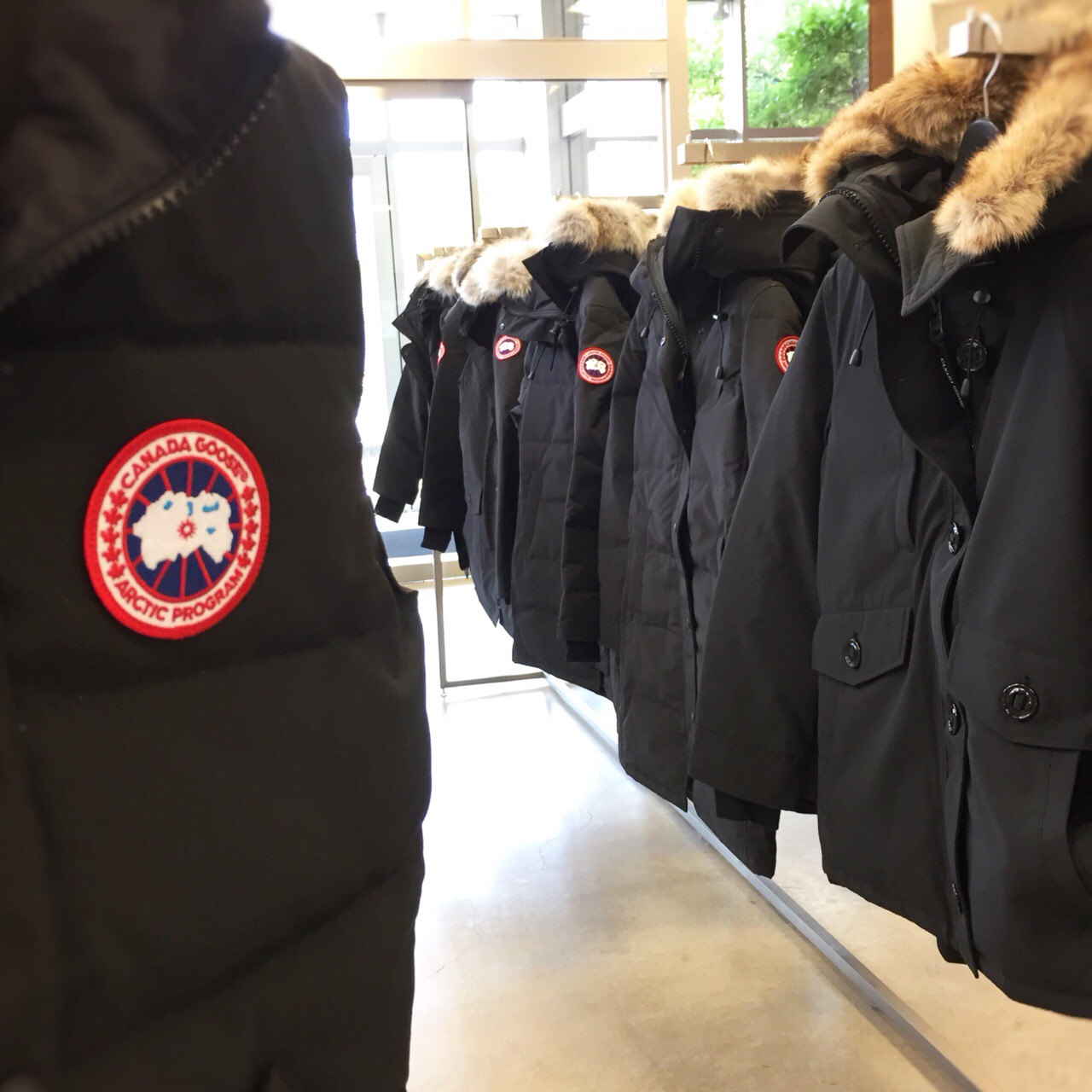 新入荷 Canada Goose ボワール インターナショナル Voir International